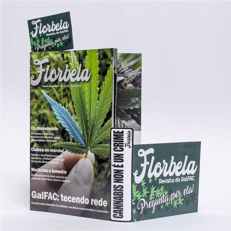 REVISTA FLORBELA
